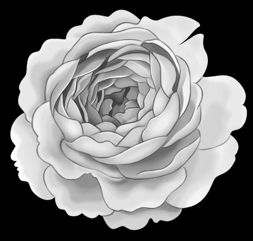 Цветок 011 (пион)