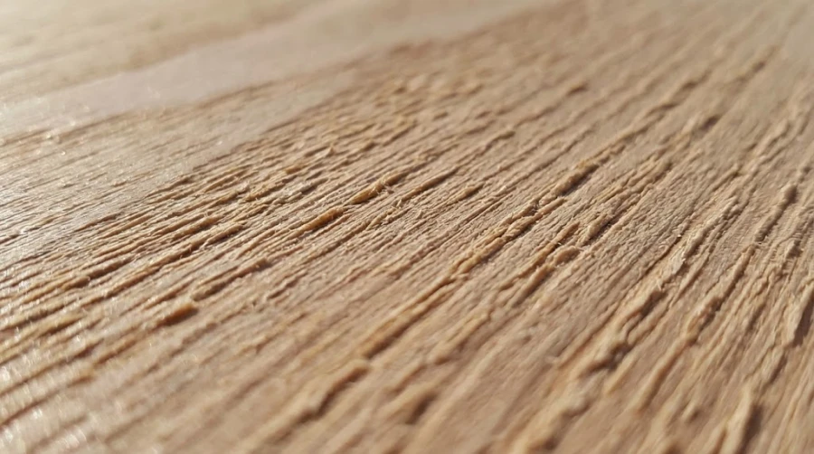 podnyatyy-vorsun-dereva