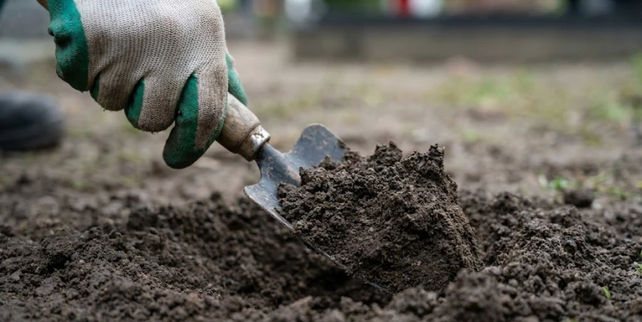 proverka-vlazhnosti-pochvy